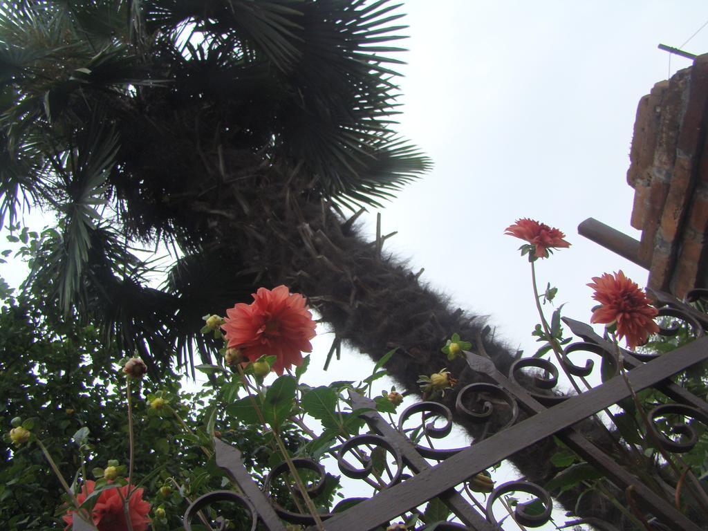 Guest House Temuri Batumi Bagian luar foto