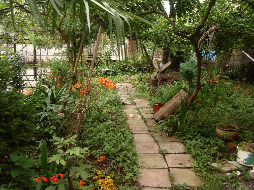 Guest House Temuri Batumi Bagian luar foto